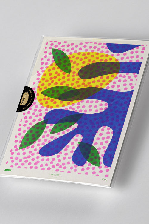 Board-Backed + Cellophane - For A3 or A4 Wall Art Editions