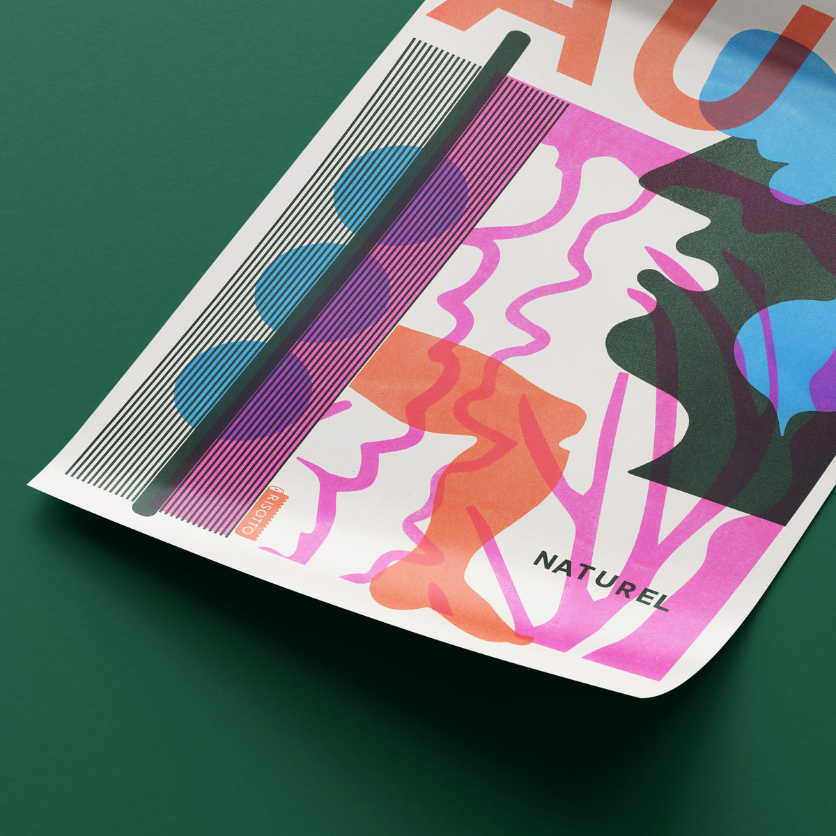 Au Naturel - Biology Collection: Editioned A3 Print