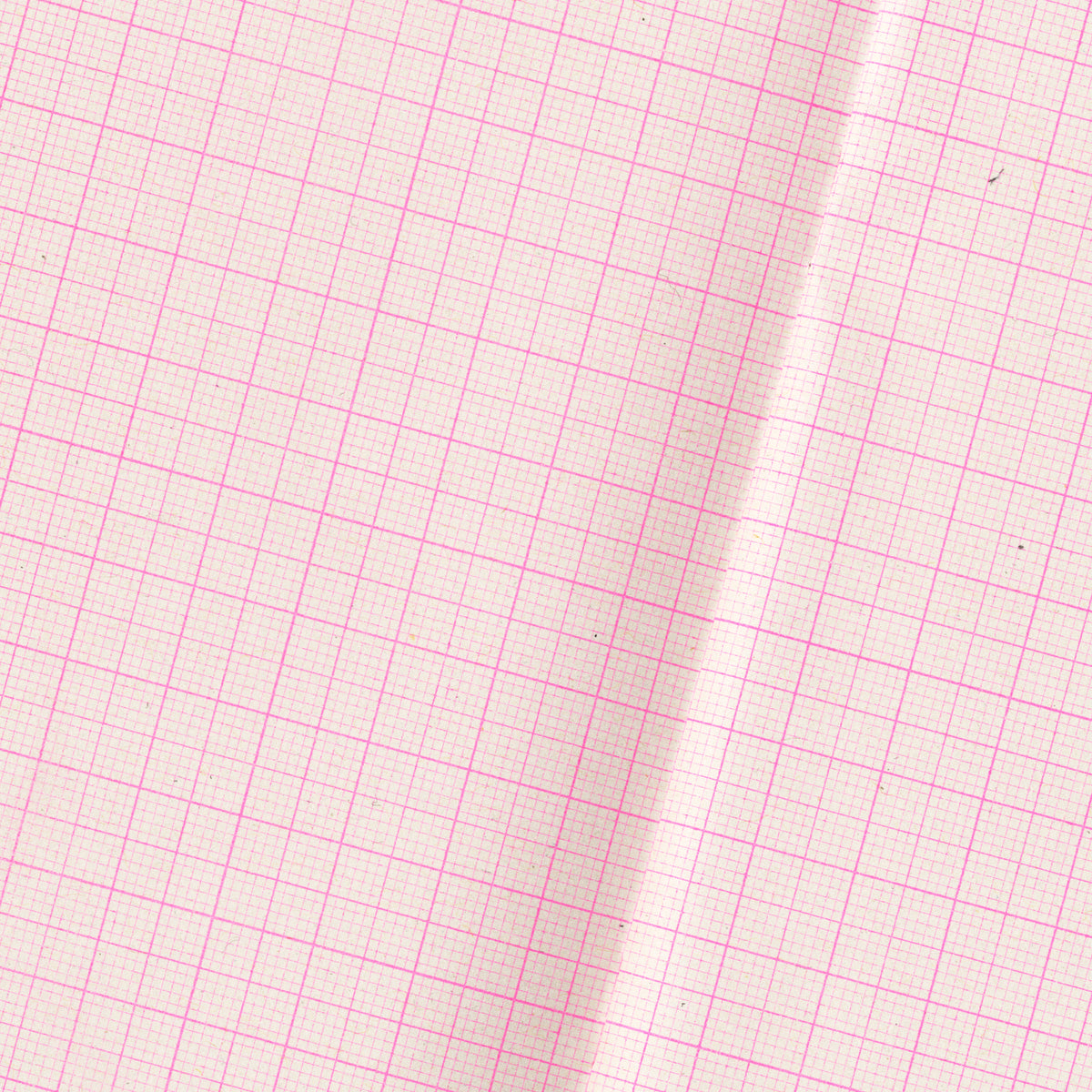 Quaderno No.1 - Graph Paper Notebook