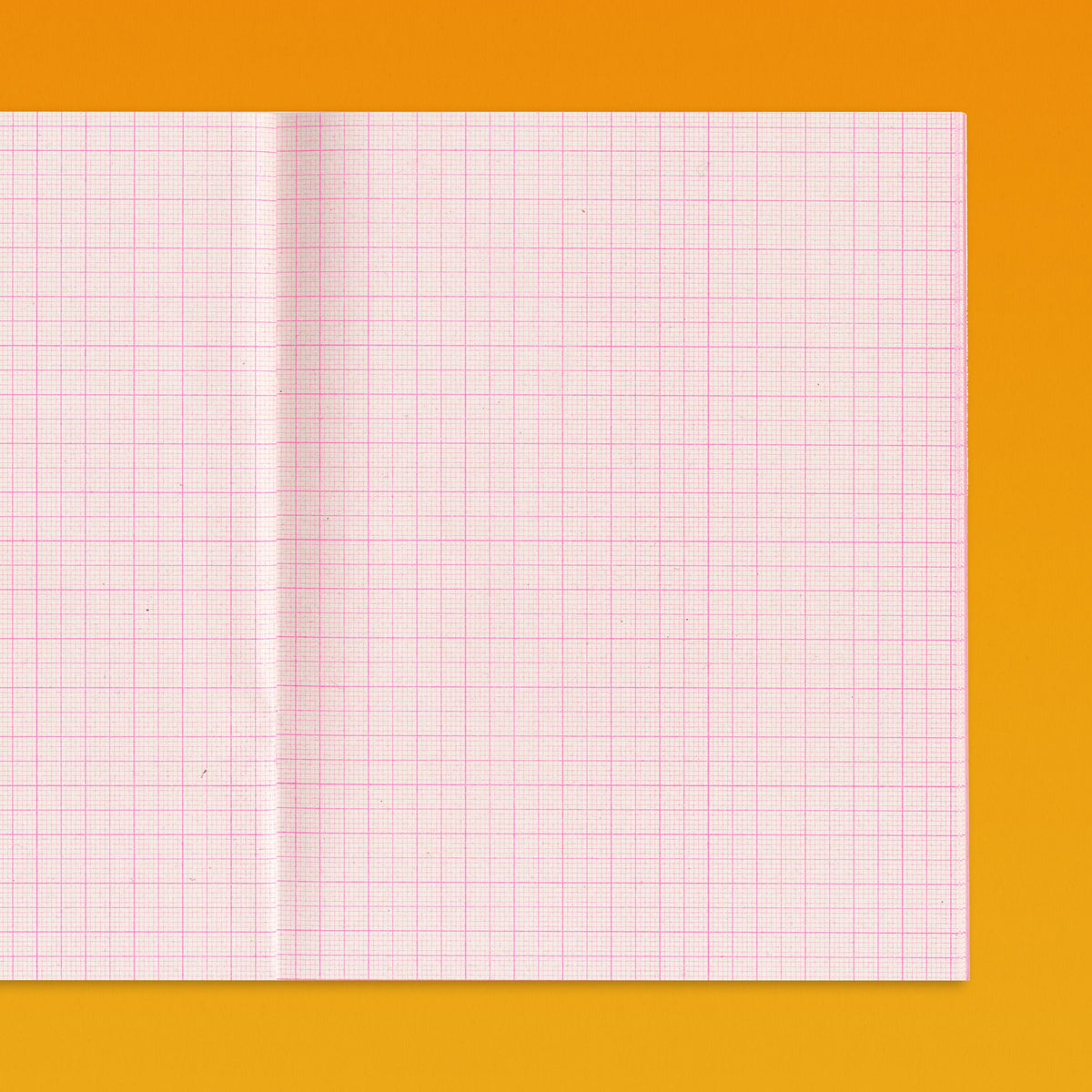 Quaderno No.1 - Graph Paper Notebook