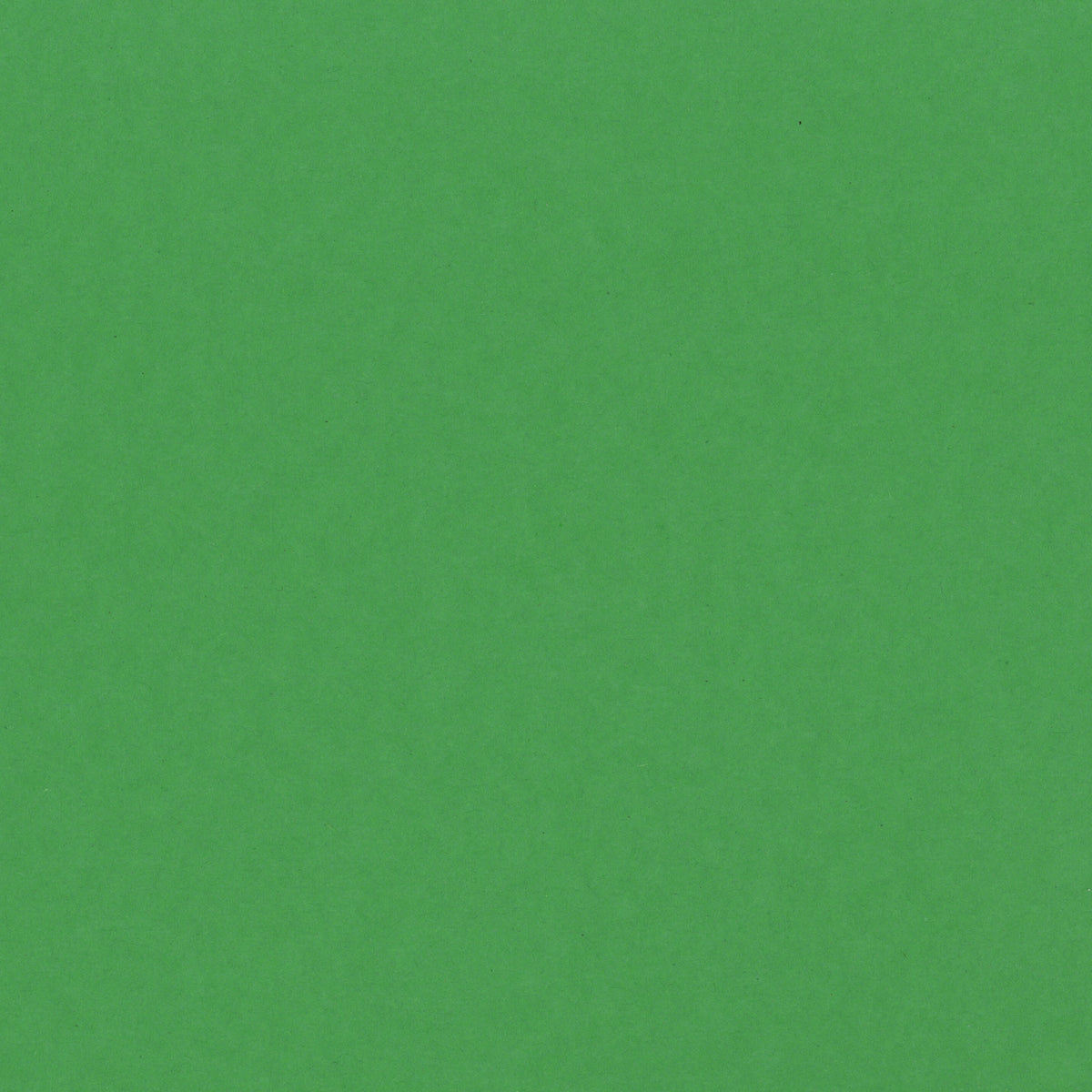 Buy and print on Colorset Spring Green 270gsm paper, available at   – RISOTTO